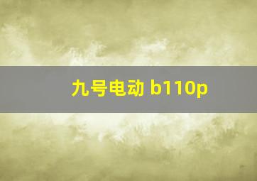 九号电动 b110p